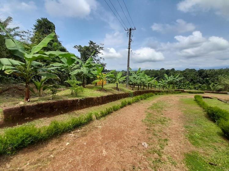 Nisarga Homestay, Dharmasthala Dharmastala Buitenkant foto